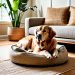 Stylish pet friendly home ideas for interiors.