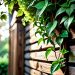 How to build a garden trellis.