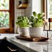 Kitchen organization ideas for clutter-free counters.